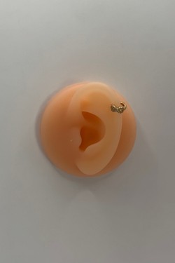 Piercing hélix 7-DORÉ