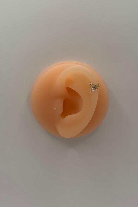 Piercing hélix 4-DORÉ