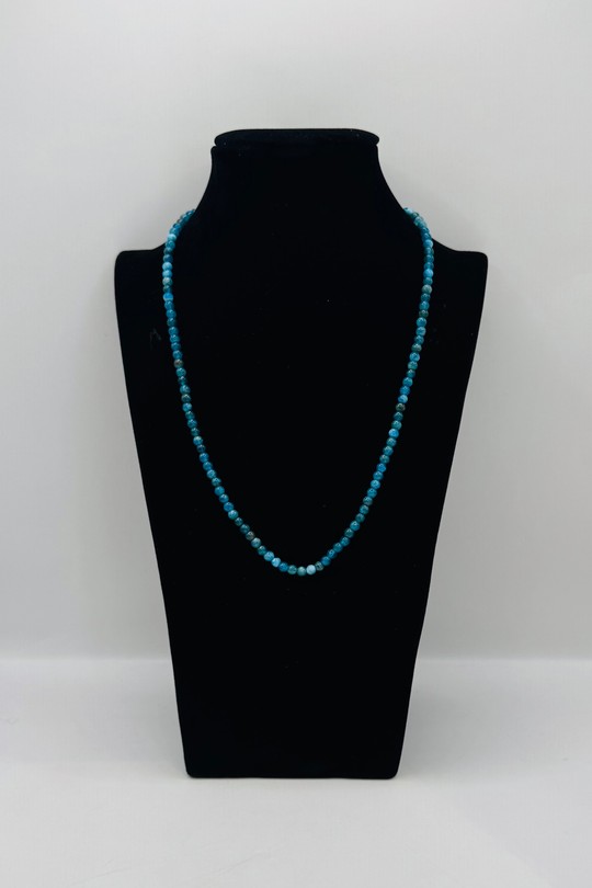 COAPA03-BLEU