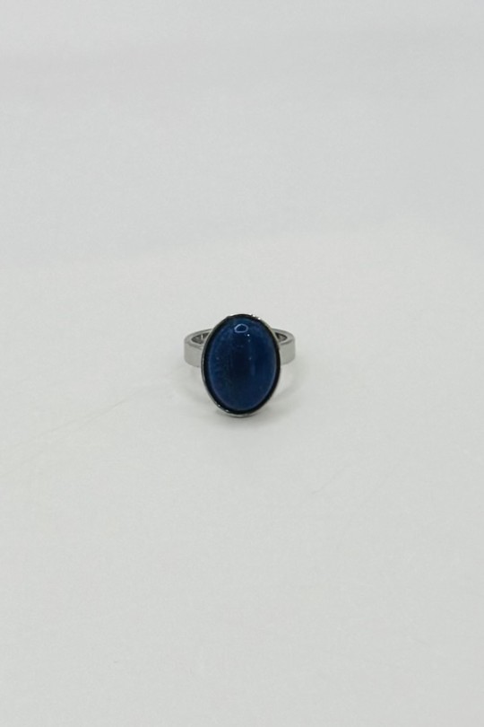 BAGALAP1-BLEU FONCÉ