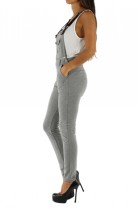 2646-1-GRIS