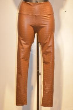 2783-CAMEL
