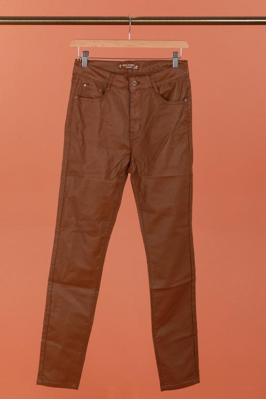 8006-CAMEL