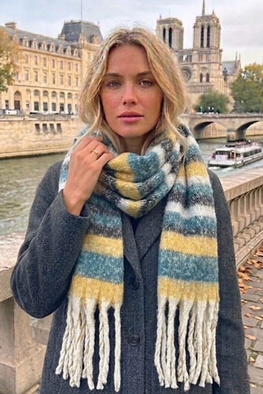 261211-BLEU CANARD