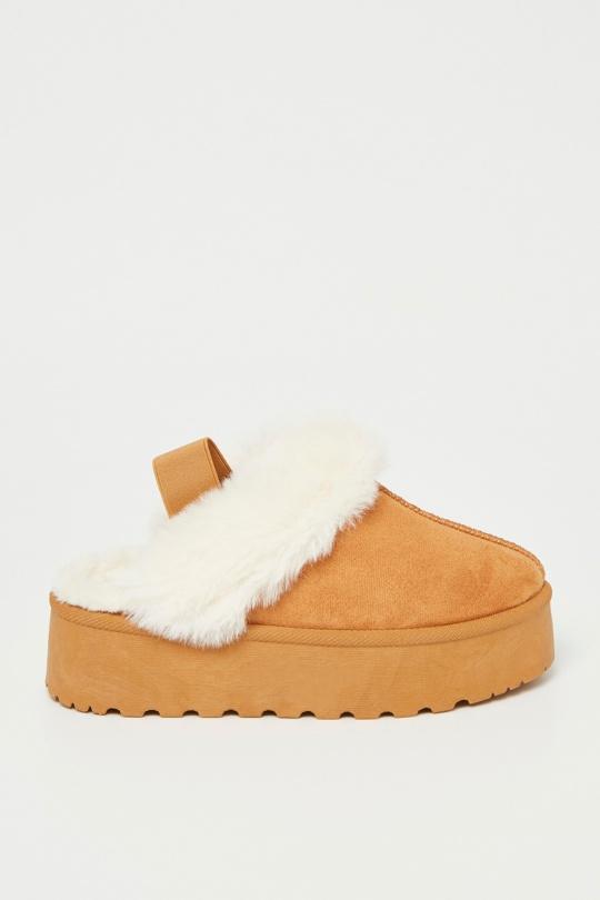FG-25-CAMEL