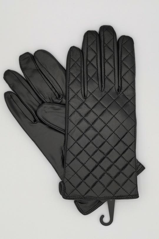 GH-M#-NOIR