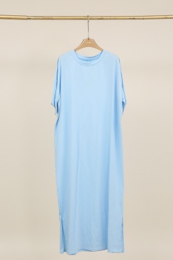 H2513-CAMEL