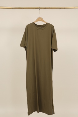 H2513-CAMEL