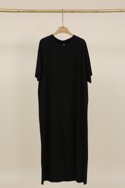 H2513-CAMEL
