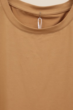 H2513-CAMEL
