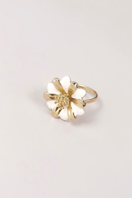 813428 BA-BLANC