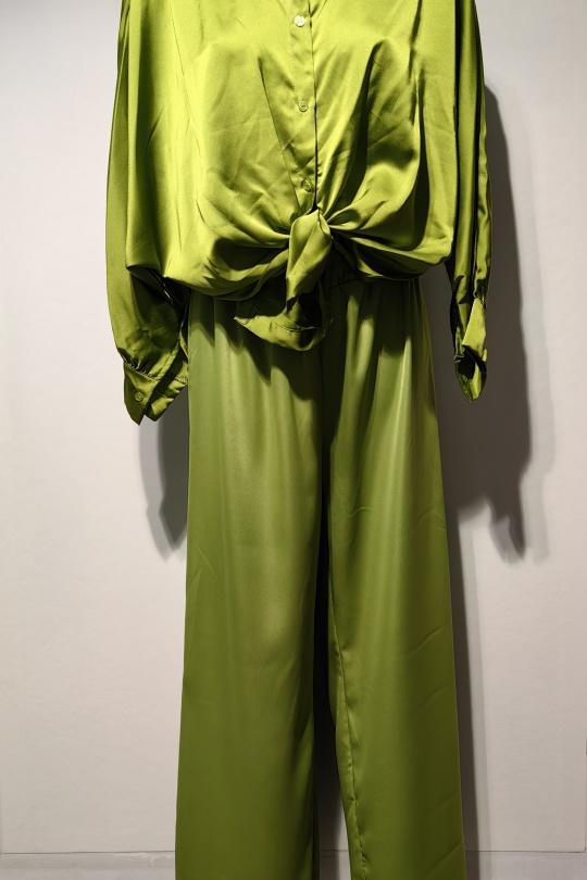 22664-VERT ANIS
