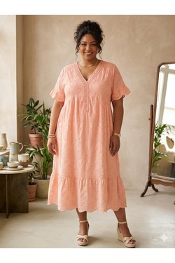 efp26085-ANIS