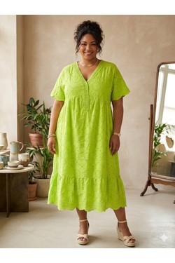 efp26085-ANIS