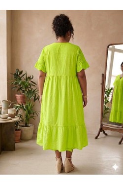 efp26085-ANIS