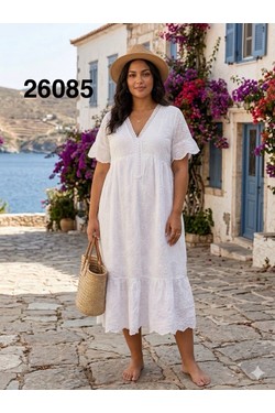 efp26085-ANIS