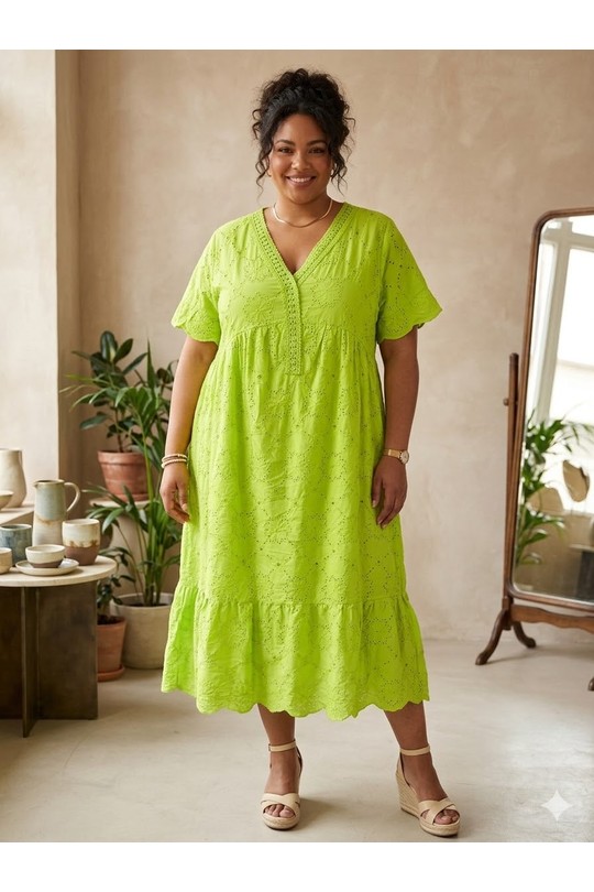 efp26085-ANIS