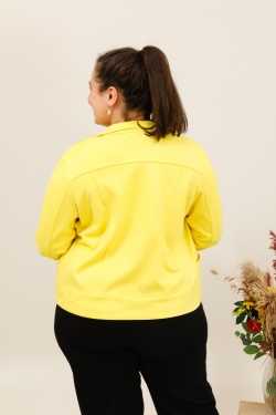 3955-JAUNE