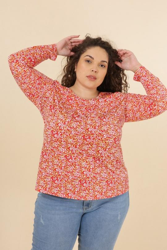 3531-CORAIL