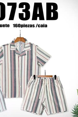 AH8073A+B-MULTICOLORE