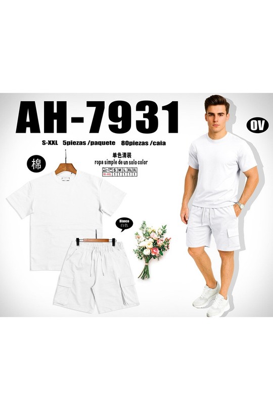 AH7931A+B-BLANC-BLANC