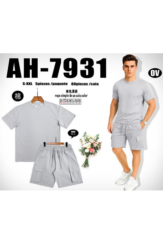 AH7931A+B-GRIS-GRIS