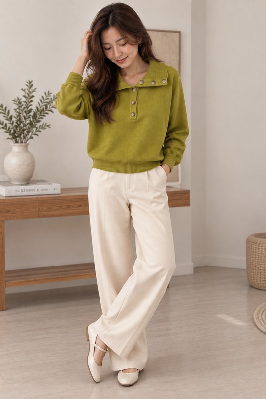 26W130-ANIS