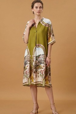 349582-OLIVE