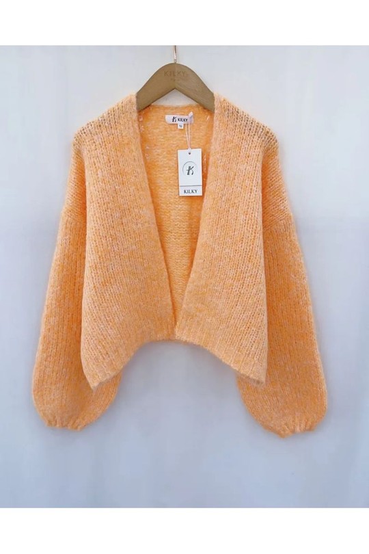 YP2016-ORANGE