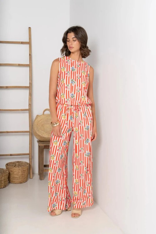 ZP1368-CORAIL