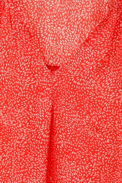 R2023-6C-CORAIL