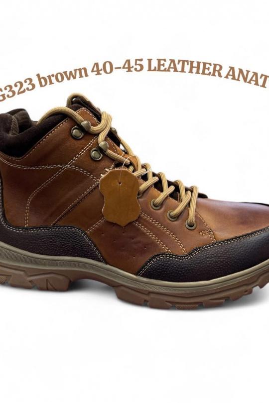 G323-MARRON