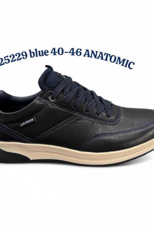 25229-NOIR