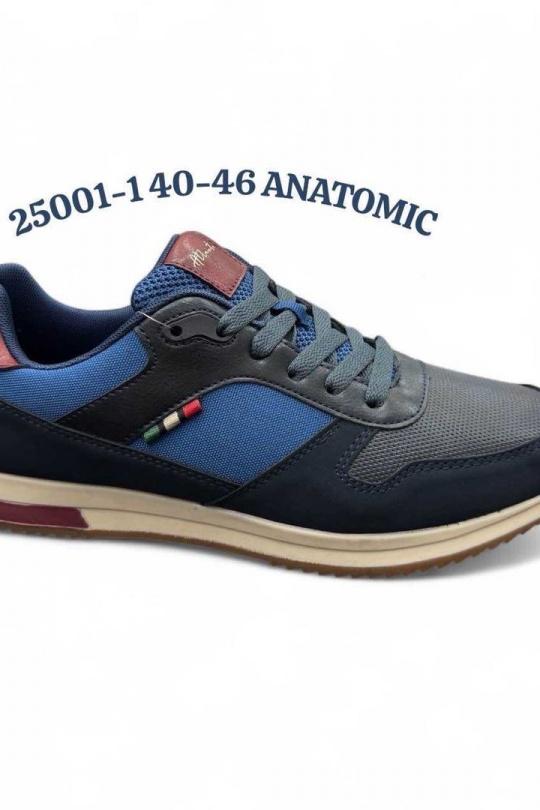 25001-BLEU