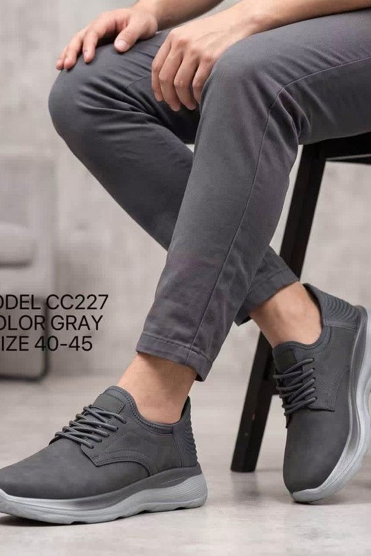 CC227-ARGENT
