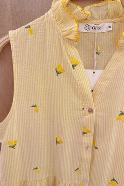 Q067-CITRON-JAUNE CITRON