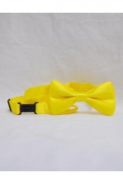 A-NOEUD -JAUNE
