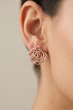 BOH1417-ROSE