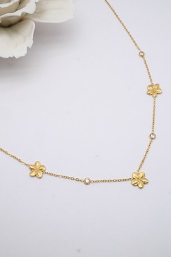 COSS492-OR