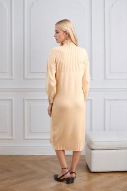 S1379-CAMEL