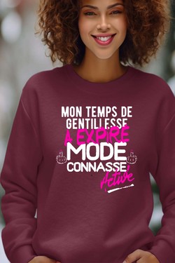 Gentillesse Terminée - Sweat Col Rond Femme-GRIS