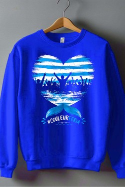 couleur  feria - Sweat Col Rond Homme-BLEU ROI