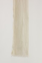 COTON 1-BLANC