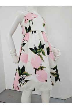 17F082-ROSE