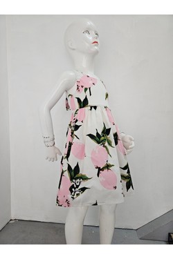 17F082-ROSE