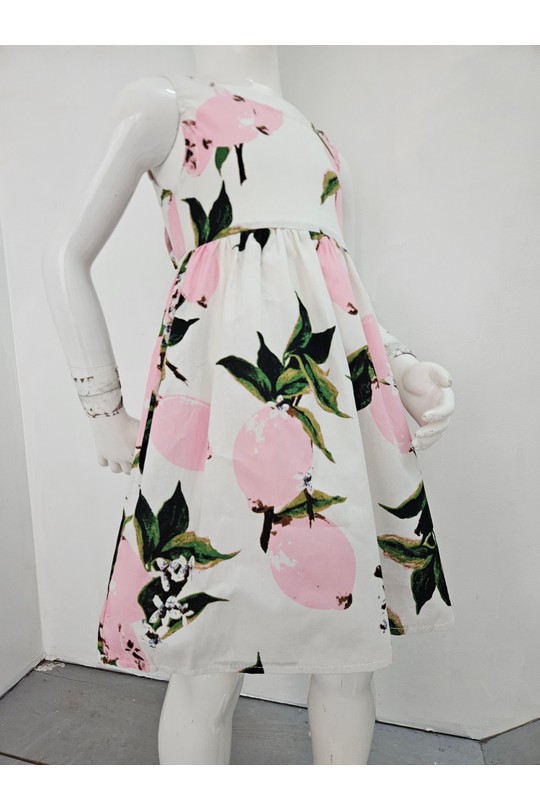 17F082-ROSE