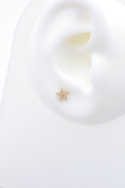 PIERCING23-DORÉ