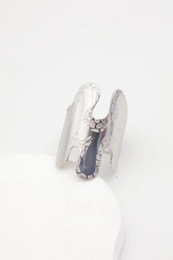 A1273-DORÉ