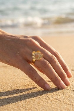 A1523-ARGENT