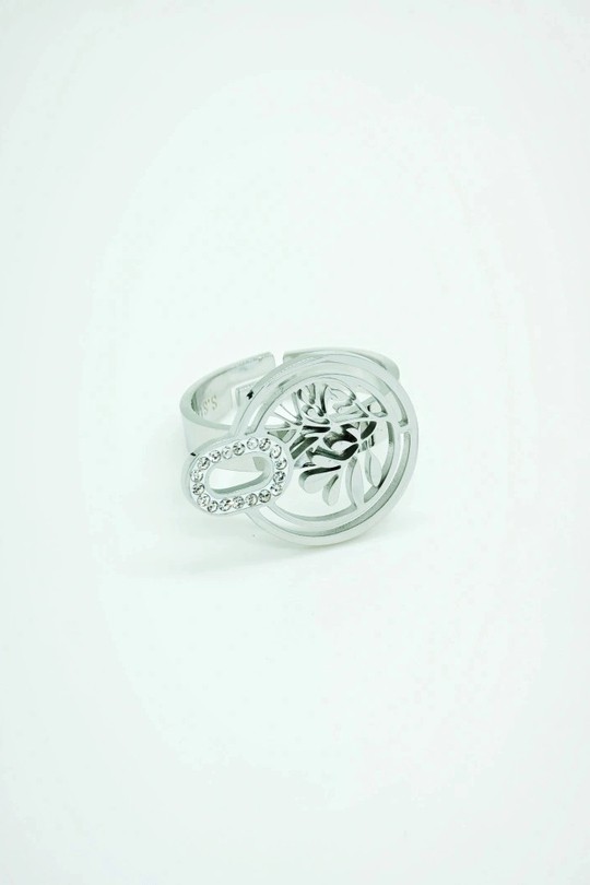 F137-ARGENT